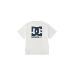 Футболка DC Shoes LogoT DC232U0009