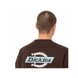 Футболка с коротким рукавом мужская Dickies Ss Ruston Коричневый