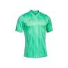 JOMA Gold VI short sleeve T-shirt