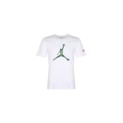 Футболка Air Jordan AT9181-100 Logo T