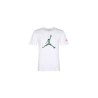 Футболка Air Jordan AT9181-100 Logo T