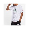 Футболка Air Jordan AT9181-100 Logo T