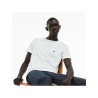 LACOSTE TH2038 short sleeve T-shirt