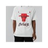 Футболка с коротким рукавом NBA SCRIPT MESH New Era WHIFDR 60284736 Белый