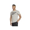 Футболка с коротким рукавом мужская Reebok BIG LOGO TEE HD4219 Серый