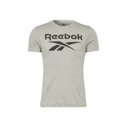 Футболка с коротким рукавом мужская Reebok BIG LOGO TEE HD4219 Серый