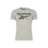 Футболка с коротким рукавом мужская Reebok BIG LOGO TEE HD4219 Серый