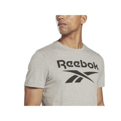 Футболка с коротким рукавом мужская Reebok BIG LOGO TEE HD4219 Серый