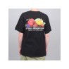 Футболка Stussy Fresh Fruit T 1904542