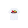 Футболка Stussy Fresh Fruit T 1904542