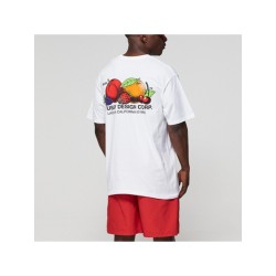 Футболка Stussy Fresh Fruit T 1904542