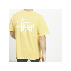 Футболка Stussy Basic Tee logoT 1904564