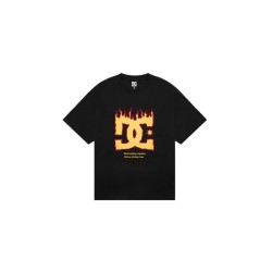 Футболка DC Shoes T DC231M1107