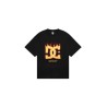 Футболка DC Shoes T DC231M1107