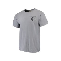 Men's Gray Indiana Hoosiers Comfort Colors Campus Scenery T-shirt